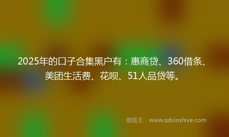 2025年的口子合集黑户有：惠商贷、360借条、美团生活费、花呗、51人品贷等。