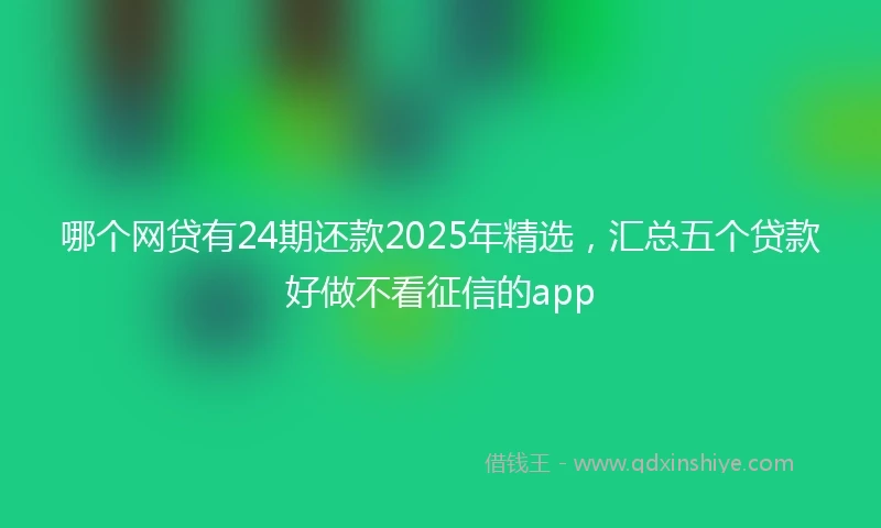 哪个网贷有24期还款2025年精选，汇总五个贷款好做不看征信的app