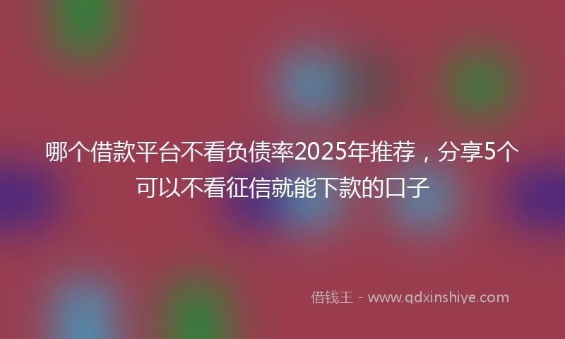 哪个借款平台不看负债率2025年推荐，分享5个可以不看征信就能下款的口子