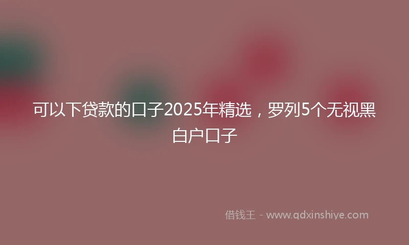 可以下贷款的口子2025年精选，罗列5个无视黑白户口子