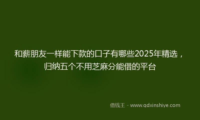 和薪朋友一样能下款的口子有哪些2025年精选，归纳五个不用芝麻分能借的平台