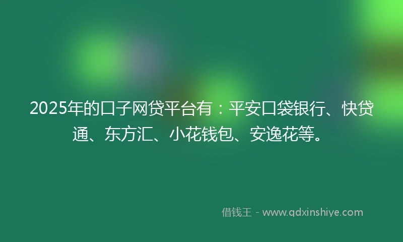 2025年的口子网贷平台有：平安口袋银行、快贷通、东方汇、小花钱包、安逸花等。