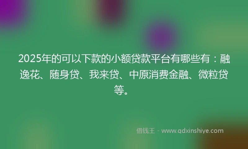2025年的可以下款的小额贷款平台有哪些有：融逸花、随身贷、我来贷、中原消费金融、微粒贷等。
