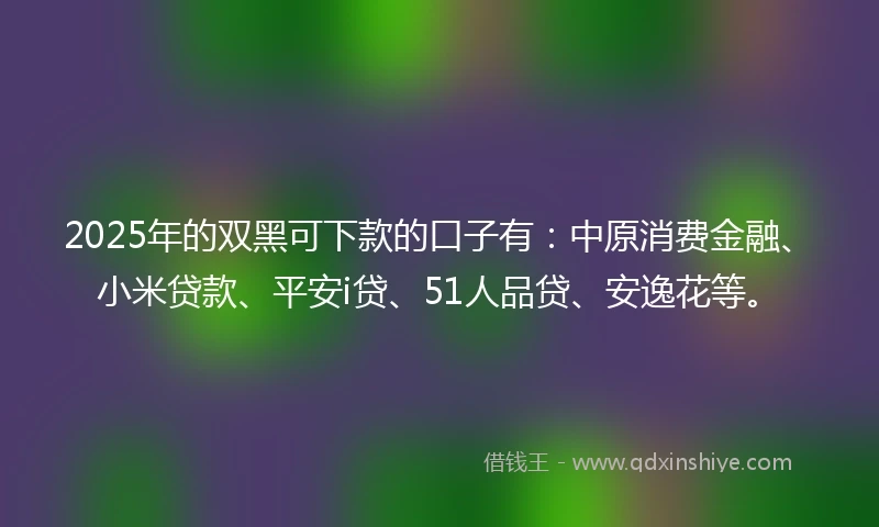 2025年的双黑可下款的口子有：中原消费金融、小米贷款、平安i贷、51人品贷、安逸花等。