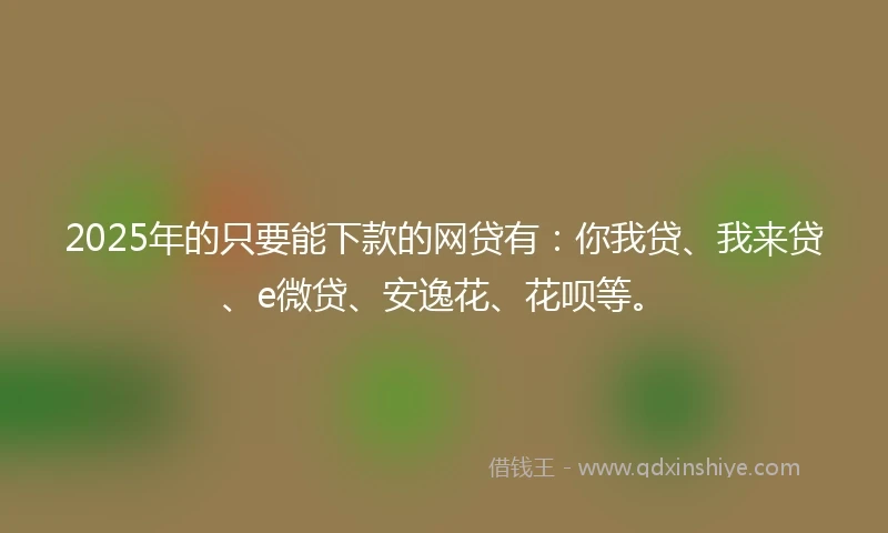 2025年的只要能下款的网贷有：你我贷、我来贷、e微贷、安逸花、花呗等。