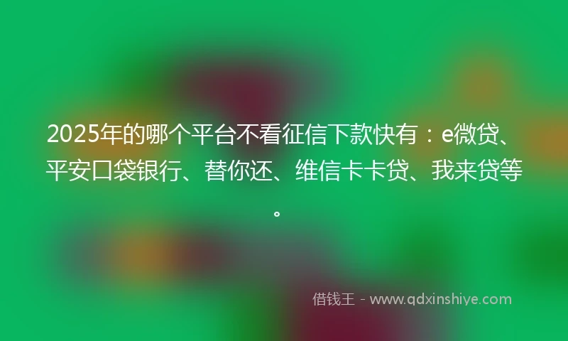 2025年的哪个平台不看征信下款快有：e微贷、平安口袋银行、替你还、维信卡卡贷、我来贷等。