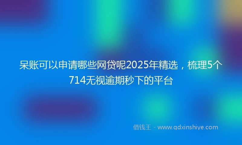 呆账可以申请哪些网贷呢2025年精选，梳理5个714无视逾期秒下的平台
