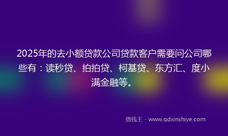 2025年的去小额贷款公司贷款客户需要问公司哪些有：读秒贷、拍拍贷、柯基贷、东方汇、度小满金融等。