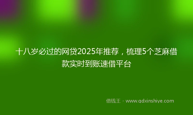 十八岁必过的网贷2025年推荐，梳理5个芝麻借款实时到账速借平台