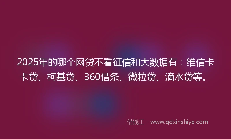 2025年的哪个网贷不看征信和大数据有：维信卡卡贷、柯基贷、360借条、微粒贷、滴水贷等。