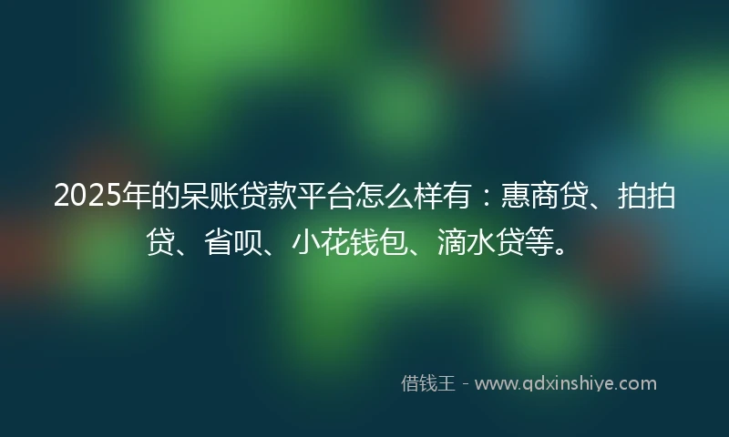 2025年的呆账贷款平台怎么样有：惠商贷、拍拍贷、省呗、小花钱包、滴水贷等。