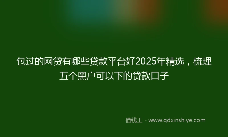 包过的网贷有哪些贷款平台好2025年精选，梳理五个黑户可以下的贷款口子
