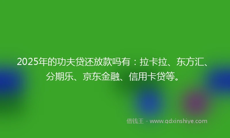 2025年的功夫贷还放款吗有：拉卡拉、东方汇、分期乐、京东金融、信用卡贷等。