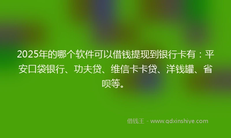 2025年的哪个软件可以借钱提现到银行卡有：平安口袋银行、功夫贷、维信卡卡贷、洋钱罐、省呗等。