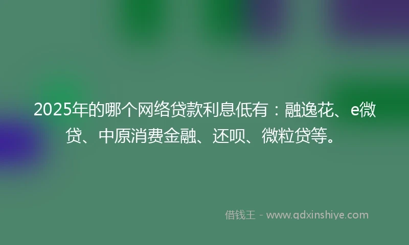 2025年的哪个网络贷款利息低有：融逸花、e微贷、中原消费金融、还呗、微粒贷等。