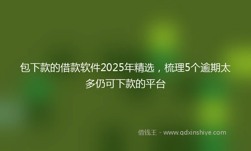 包下款的借款软件2025年精选，梳理5个逾期太多仍可下款的平台