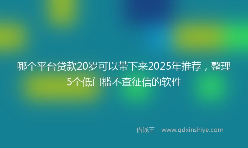 哪个平台贷款20岁可以带下来2025年推荐，整理5个低门槛不查征信的软件