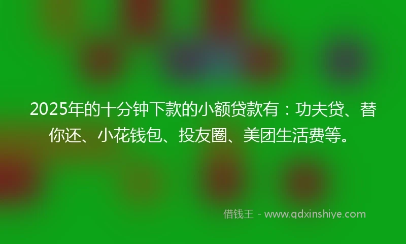 2025年的十分钟下款的小额贷款有：功夫贷、替你还、小花钱包、投友圈、美团生活费等。