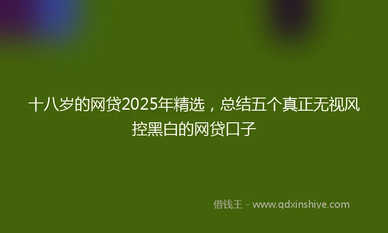 十八岁的网贷2025年精选，总结五个真正无视风控黑白的网贷口子