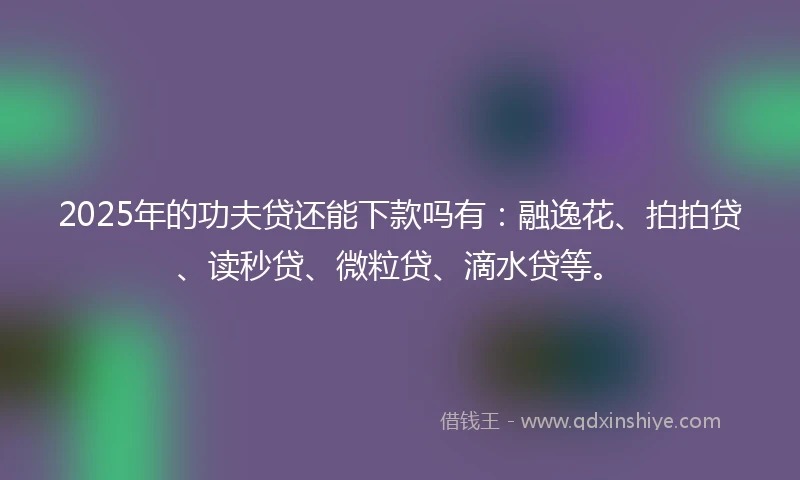 2025年的功夫贷还能下款吗有：融逸花、拍拍贷、读秒贷、微粒贷、滴水贷等。