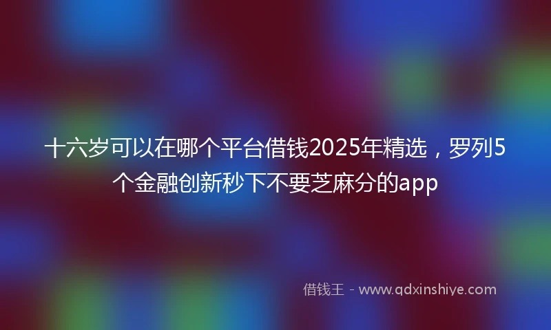 十六岁可以在哪个平台借钱2025年精选，罗列5个金融创新秒下不要芝麻分的app