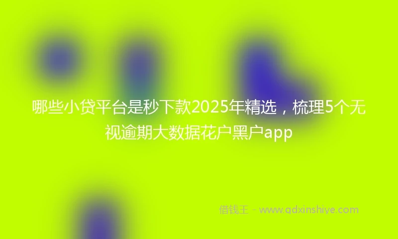 哪些小贷平台是秒下款2025年精选,梳理5个无视逾期大数据花户黑户app