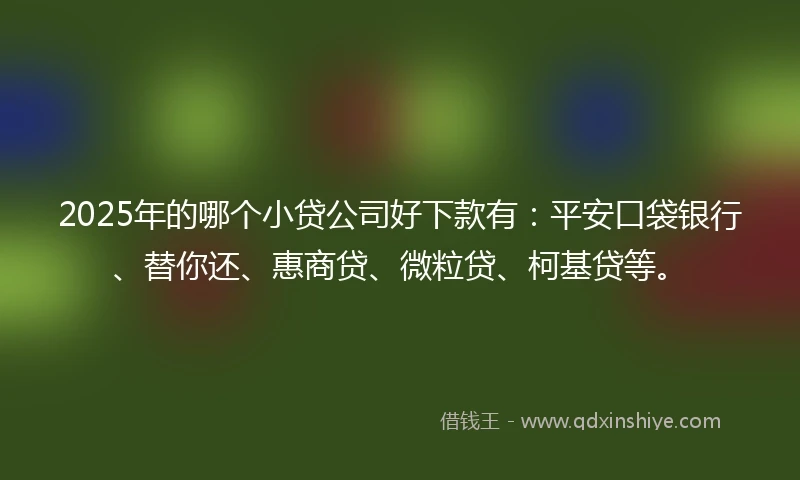 2025年的哪个小贷公司好下款有：平安口袋银行、替你还、惠商贷、微粒贷、柯基贷等。