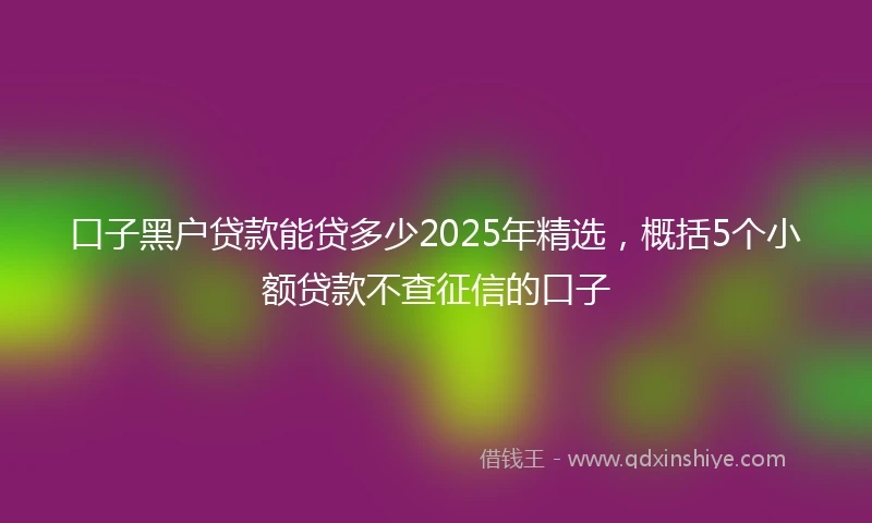口子黑户贷款能贷多少2025年精选，概括5个小额贷款不查征信的口子