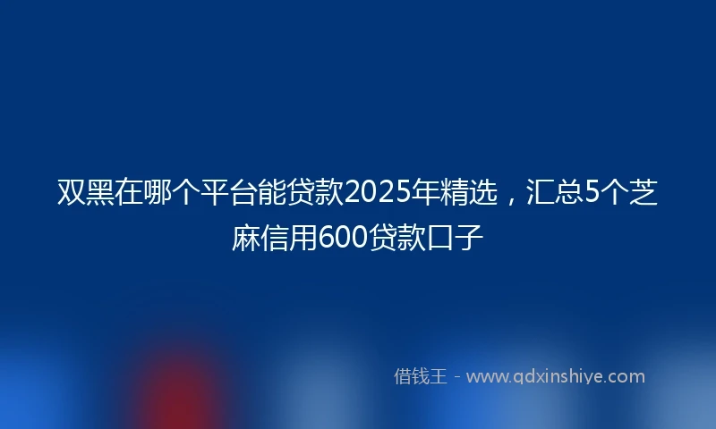 双黑在哪个平台能贷款2025年精选，汇总5个芝麻信用600贷款口子