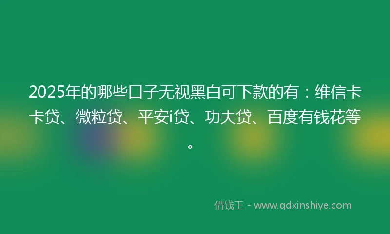 2025年的哪些口子无视黑白可下款的有：维信卡卡贷、微粒贷、平安i贷、功夫贷、百度有钱花等。