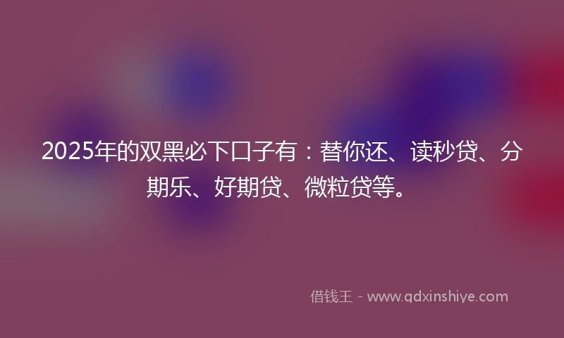 2025年的双黑必下口子有：替你还、读秒贷、分期乐、好期贷、微粒贷等。