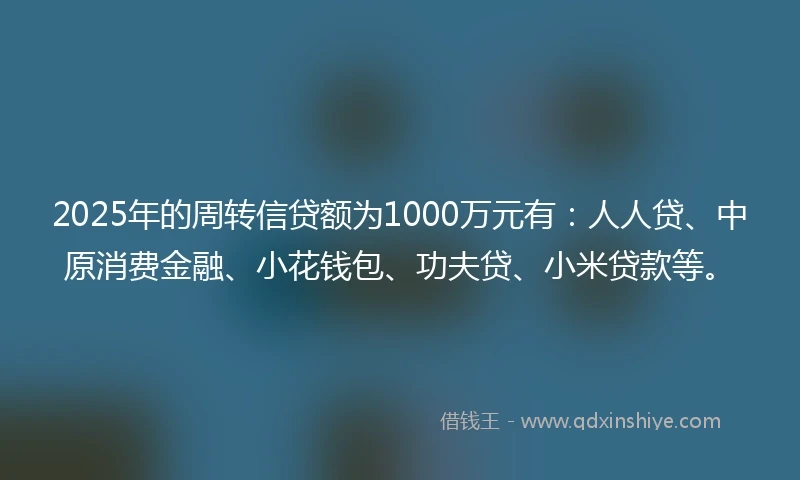 2025年的周转信贷额为1000万元有：人人贷、中原消费金融、小花钱包、功夫贷、小米贷款等。