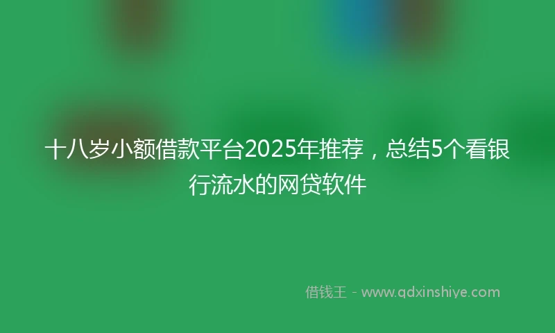 十八岁小额借款平台2025年推荐，总结5个看银行流水的网贷软件