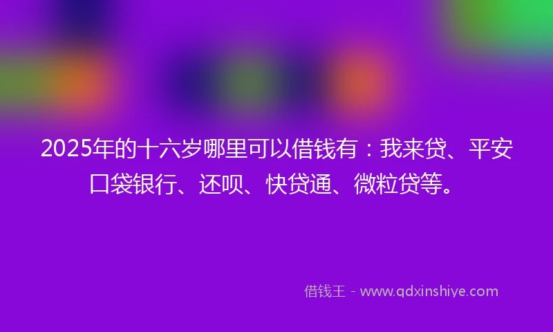 2025年的十六岁哪里可以借钱有：我来贷、平安口袋银行、还呗、快贷通、微粒贷等。