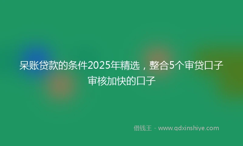 呆账贷款的条件2025年精选，整合5个审贷口子审核加快的口子