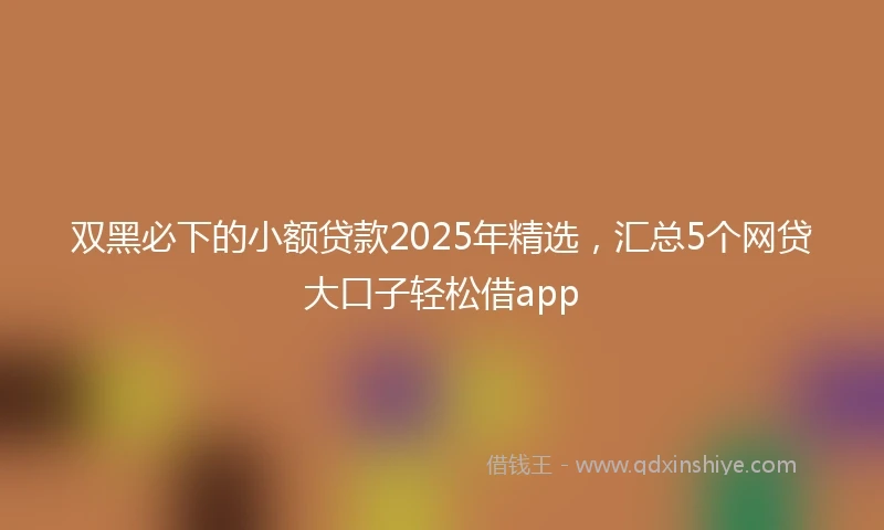 双黑必下的小额贷款2025年精选，汇总5个网贷大口子轻松借app