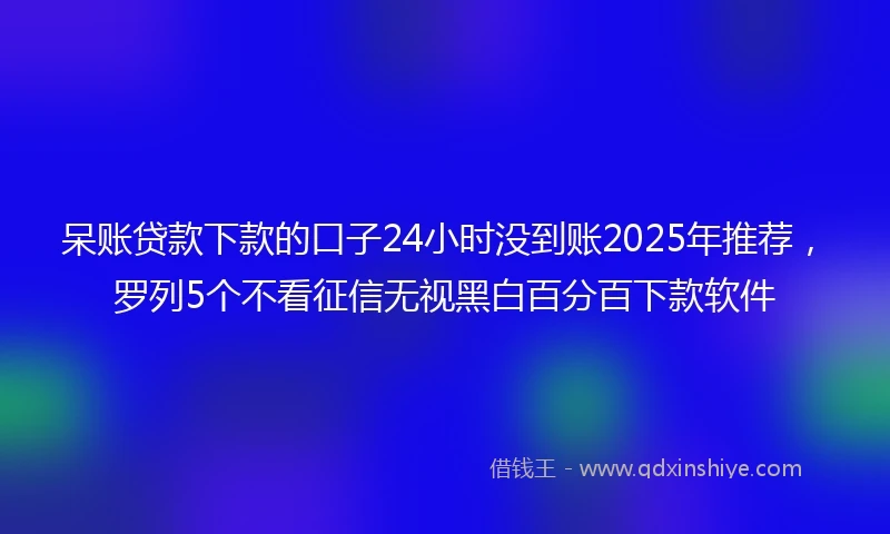 呆账贷款下款的口子24小时没到账2025年推荐，罗列5个不看征信无视黑白百分百下款软件