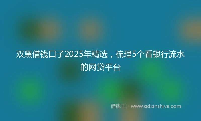 双黑借钱口子2025年精选，梳理5个看银行流水的网贷平台