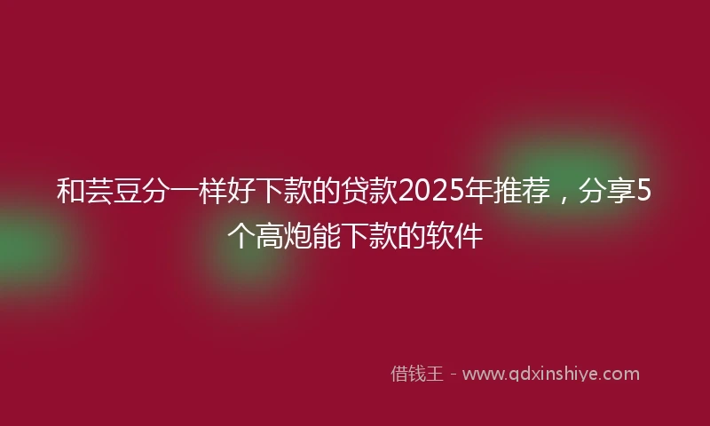 和芸豆分一样好下款的贷款2025年推荐，分享5个高炮能下款的软件