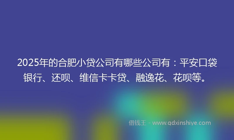 2025年的合肥小贷公司有哪些公司有：平安口袋银行、还呗、维信卡卡贷、融逸花、花呗等。