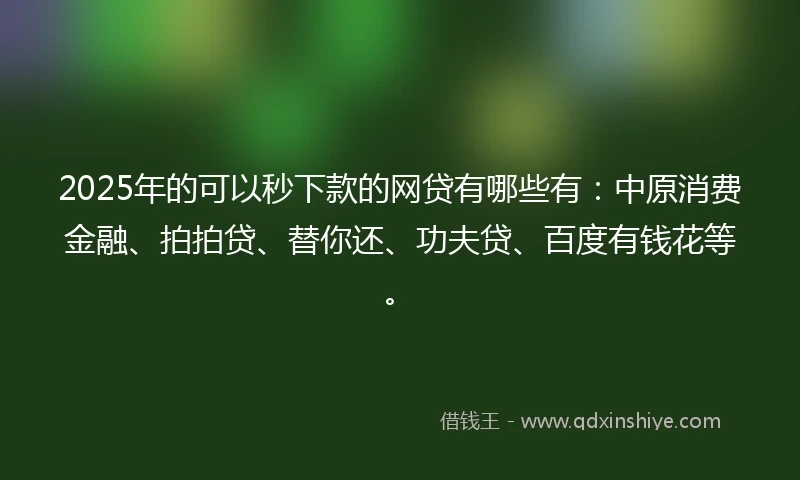 2025年的可以秒下款的网贷有哪些有:中原消费金融、拍拍贷、替你还、功夫贷、百度有钱花等。