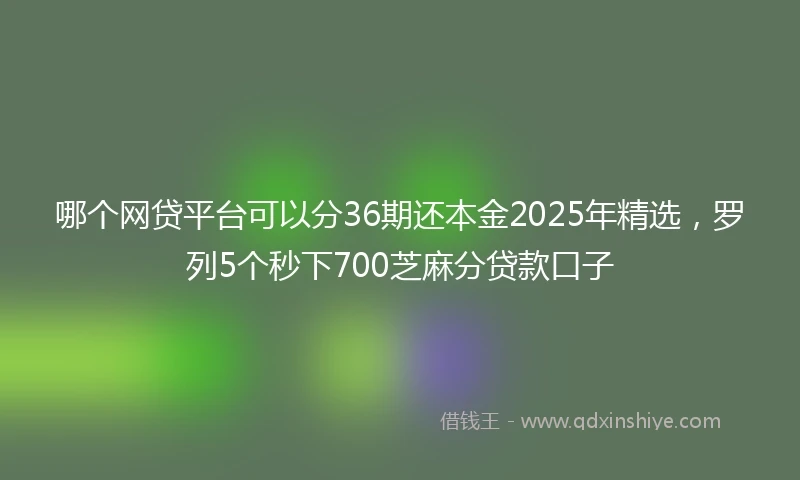 哪个网贷平台可以分36期还本金2025年精选，罗列5个秒下700芝麻分贷款口子