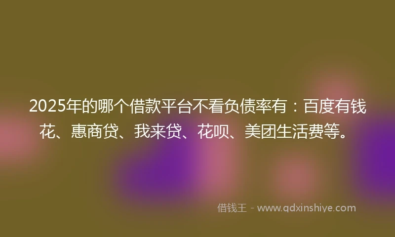 2025年的哪个借款平台不看负债率有：百度有钱花、惠商贷、我来贷、花呗、美团生活费等。
