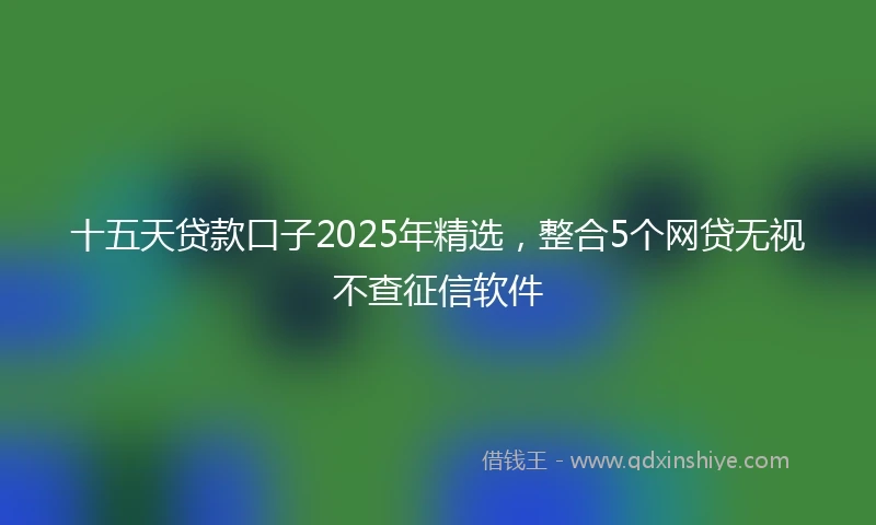 十五天贷款口子2025年精选，整合5个网贷无视不查征信软件