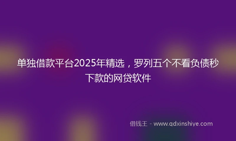 单独借款平台2025年精选，罗列五个不看负债秒下款的网贷软件