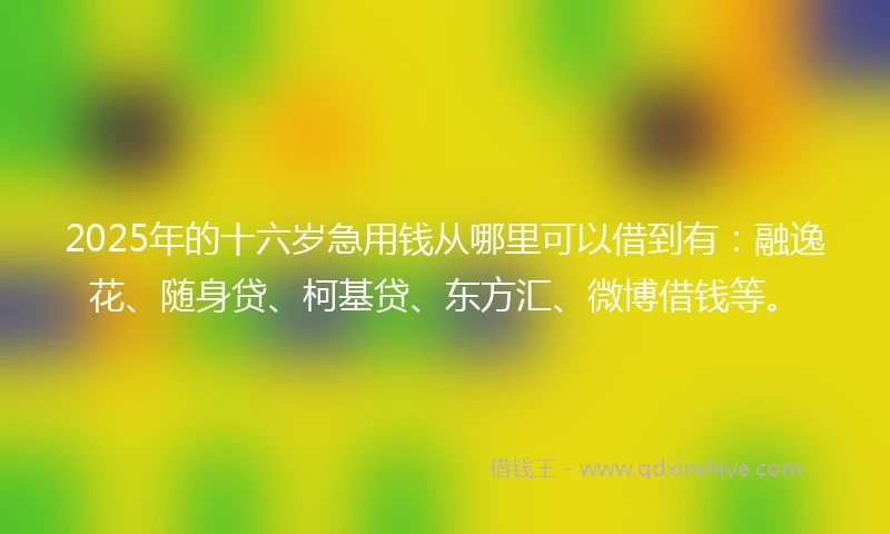 2025年的十六岁急用钱从哪里可以借到有：融逸花、随身贷、柯基贷、东方汇、微博借钱等。