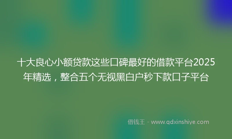 十大良心小额贷款这些口碑最好的借款平台2025年精选，整合五个无视黑白户秒下款口子平台