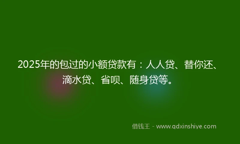 2025年的包过的小额贷款有：人人贷、替你还、滴水贷、省呗、随身贷等。
