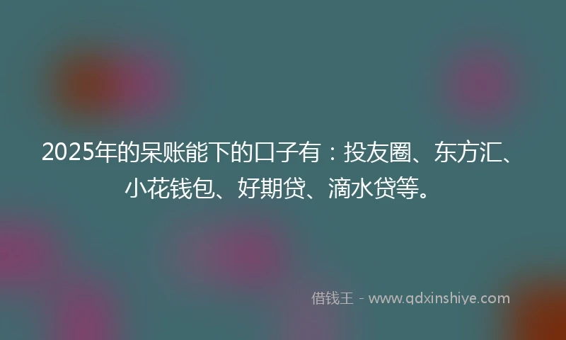 2025年的呆账能下的口子有：投友圈、东方汇、小花钱包、好期贷、滴水贷等。