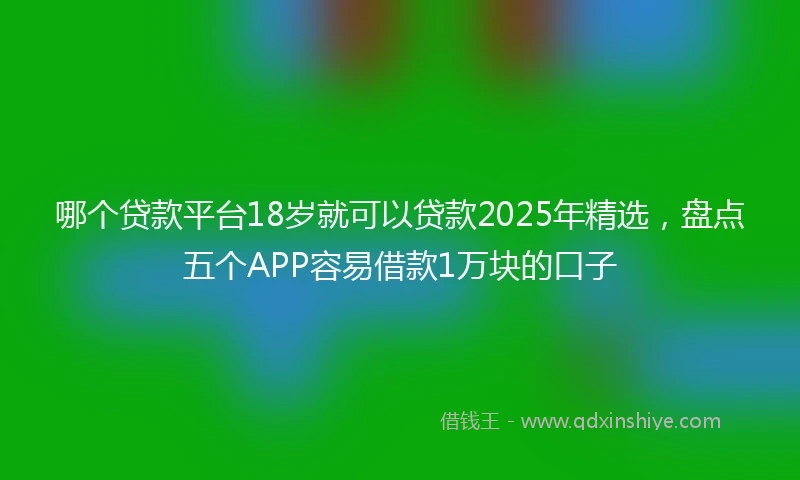 哪个贷款平台18岁就可以贷款2025年精选，盘点五个APP容易借款1万块的口子